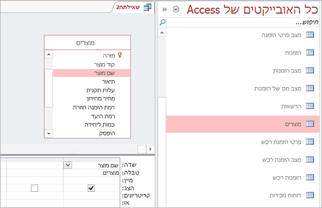 צילום מסך של התצוגה 'כל האובייקטים של Access'