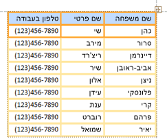 פריסת פקדים טבלאית בסיסית