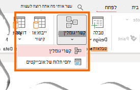 ממשק משתמש של Access