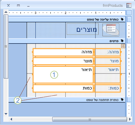 הגדרת גודל פקדים ושוליים בטופס