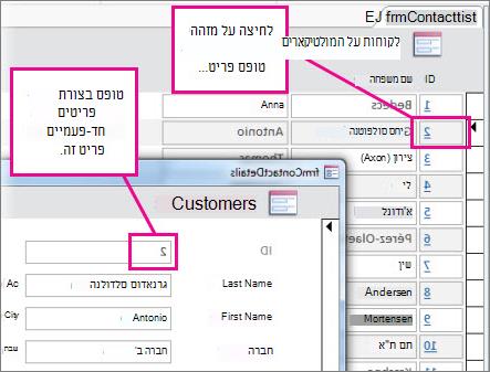 לחיצה על מזהה בטופס מרובה פריטים כדי לפתוח טופס בעל פריט יחיד.