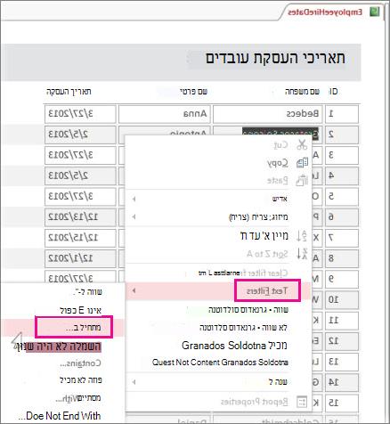 החלת מסנן על דוח על-ידי לחיצה באמצעות לחצן העכבר הימני על ערך בתצוגת דוח.