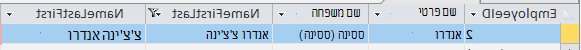 ממשק משתמש של Access