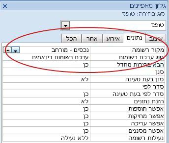 המאפיין 'מקור רשומה' בכרטיסיה 'נתונים'.