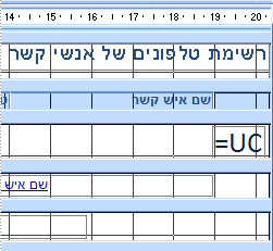 דוח בתצוגת עיצוב
