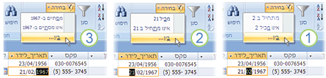 מסננים המבוססים על שדה שנבחר חלקית
