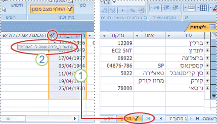 שדה BirthDate מסונן לחודש אפריל