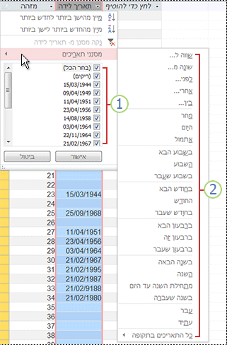 מסנני תאריכים נפוצים
