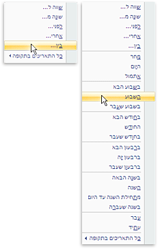 רשימות מסננים נפוצות לתאריך ארוך וקצר