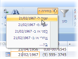 רשימת מסננים המבוססת על בחירה