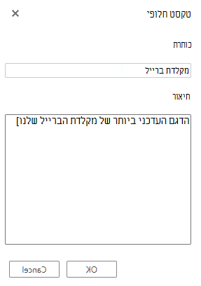 תיבת הדו-שיח 'טקסט חלופי' ב- Visio באינטרנט