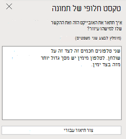 החלונית טקסט חלופי של תמונה PowerPoint באינטרנט.