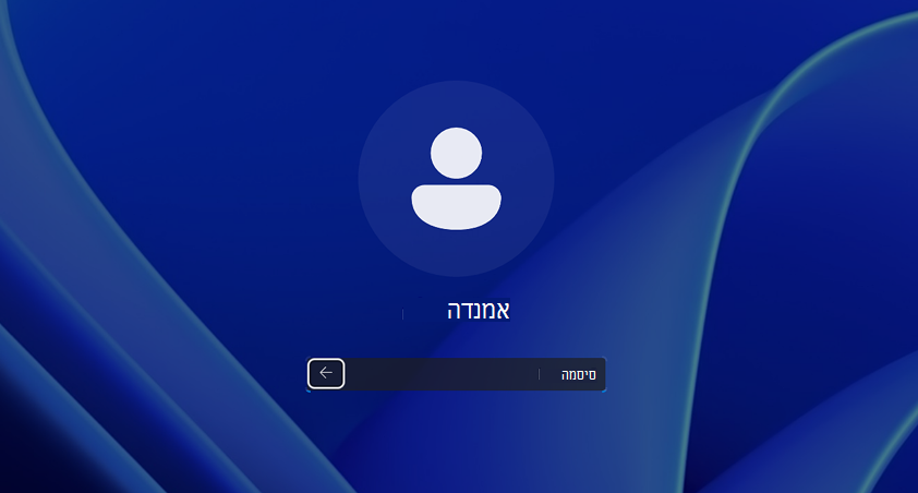 תמונת כניסה מקומית