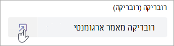 תלמידים יכולים לצפות ברובריקה בעצמם