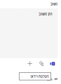 פגישת וידאו