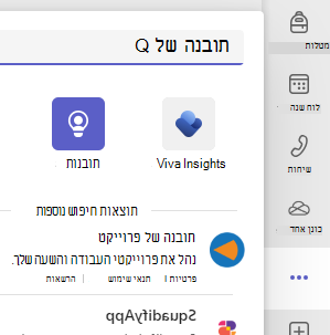 צילום מסך של תובנה.