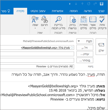 צילום מסך של הכרטיסיה 'סקירה'.