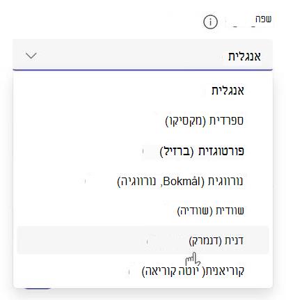 ריבוי שפות