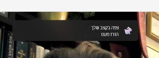 צילום מסך של ניטור קצבים.