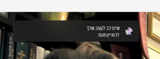 צילום מסך של קצב.