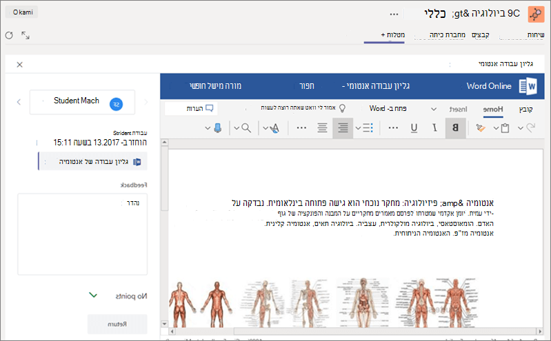 עיין במטלות שהתלמידים הגישו, תן להן ציון ודרג אותן.