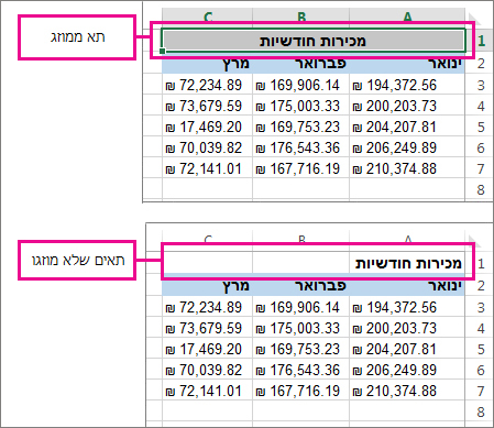 ביטול מיזוג של תאים – לפני ואחרי