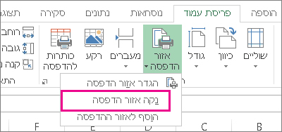 ניקוי אזור הדפסה