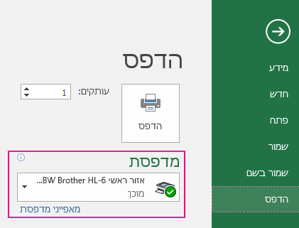 בתפריט הנפתח 'מדפסת', זהה את המדפסת שבה ברצונך להשתמש.