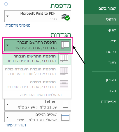 בתפריט הנפתח 'הגדרות', ציין מה ברצונך להדפיס.