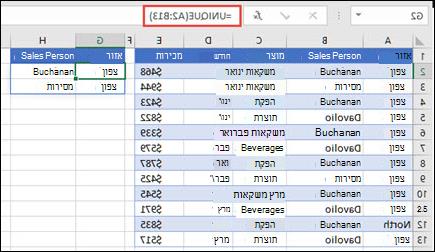 שימוש בפונקציה UNIQUE להחזרת רשימה של אנשי מכירות.
