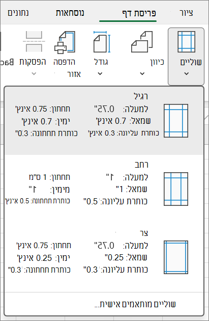 צילום מסך המציג שוליים מותאמים אישית.