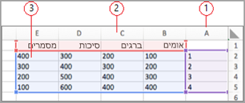 שדות נתונים במקש