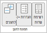 פקודות רצועת הכלים בקבוצה 'הצג'