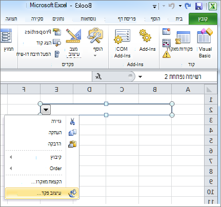 עיצוב פקד