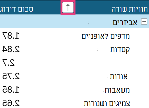 חץ מיון של PivotTable בתוויות שורה