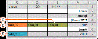 דוגמה להערכה של Solver