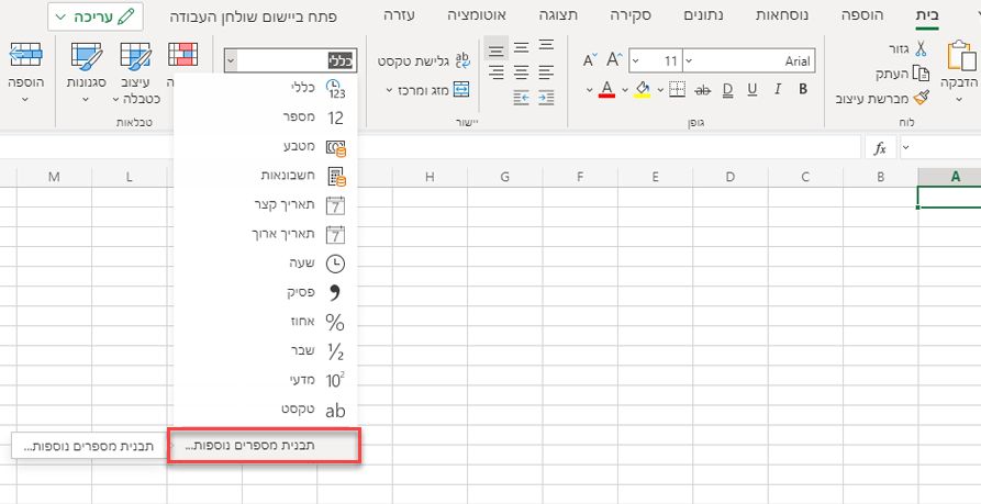 תפריט 'תבנית מספר' עם האפשרות 'תבניות מספר נוספות' מסומנת.