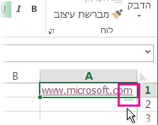 לחצן 'אפשרויות תיקון שגיאות אוטומטי'
