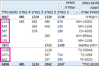 מיון מהגדול ביותר לקטן ביותר בערכי העמודה 'סכום כולל'