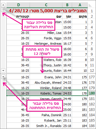שימוש בפיצול כדי להציג שני אזורי שורות