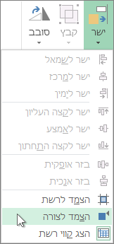 הצמד לצורה