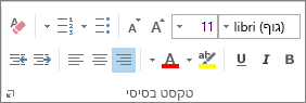 האפשרויות בקבוצה 'טקסט בסיסי'