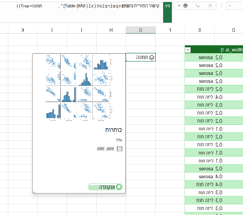 ראה תצוגה מקדימה של התוויית הנתונים בכרטיס DataFrame.