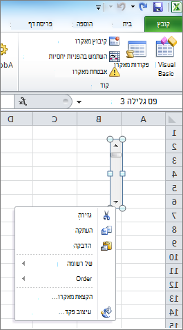 פקד עיצוב פס סקול