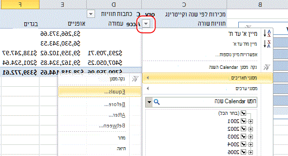 מסנני נתונים