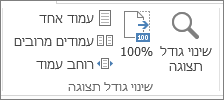 הקבוצה 'שנה גודל תצוגה' בכרטיסיה 'תצוגה'