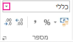 הקבוצה 'מספר' בכרטיסיה 'בית'