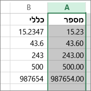 דוגמה של האופן שבו המספרים מופיעים עם תבניות שונות, כגון התבניות 'מספר' ו'כללי'.