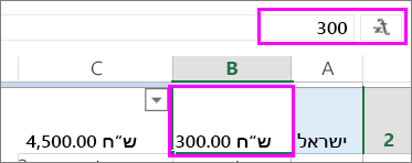 תצוגה של ערך מספר בשורת הנוסחאות