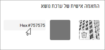 צילום מסך של עריכת צבע כערך הקסדצימאלי